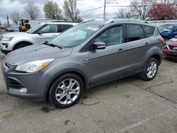 Salvage cars for sale at Moraine, OH auction: 2014 Ford Escape Titanium