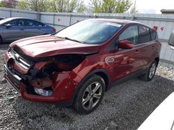 Salvage cars for sale from Copart Walton, KY: 2016 Ford Escape SE