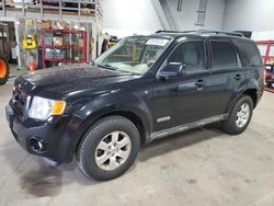 Salvage cars for sale at Ham Lake, MN auction: 2008 Ford Escape Limited