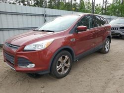 Salvage cars for sale at Harleyville, SC auction: 2016 Ford Escape SE
