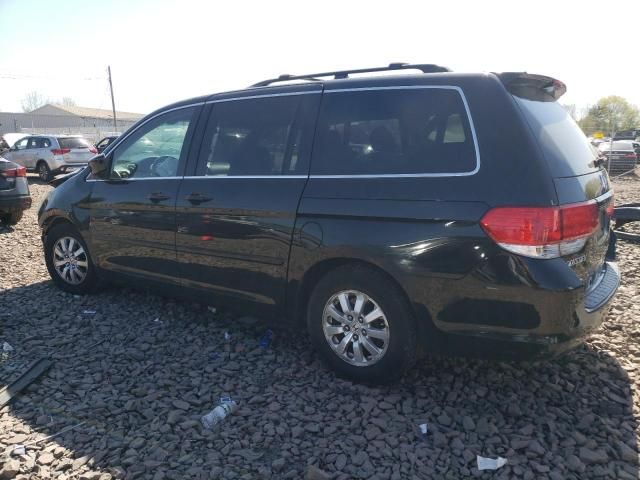 2010 Honda Odyssey EXL