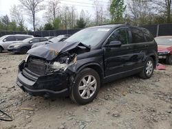 Salvage cars for sale at Waldorf, MD auction: 2009 Honda CR-V EXL