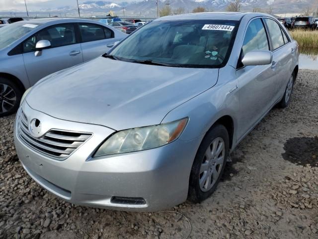 2008 Toyota Camry Hybrid