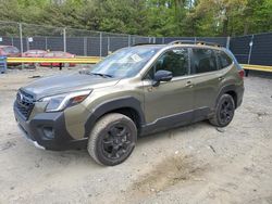 Salvage cars for sale at Waldorf, MD auction: 2022 Subaru Forester Wilderness