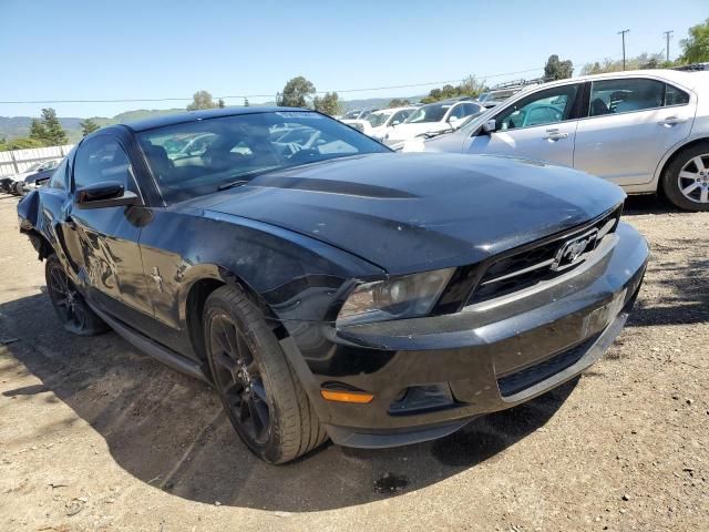 2010 Ford Mustang