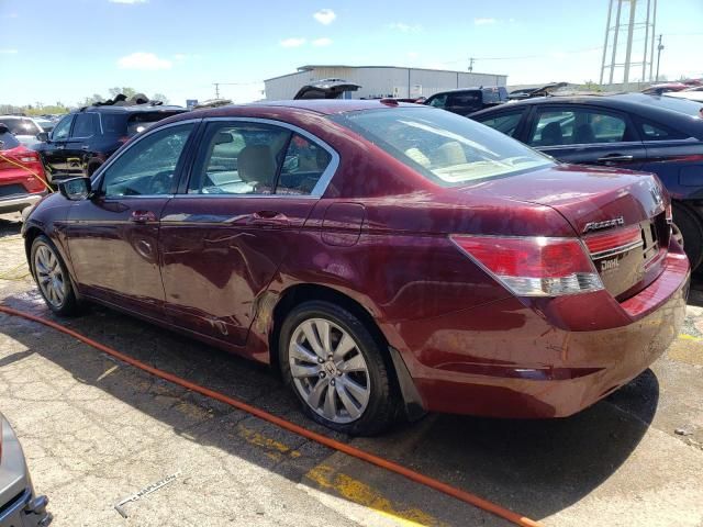 2011 Honda Accord EXL