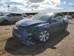 2022 Tesla Model Y en venta en Phoenix, AZ