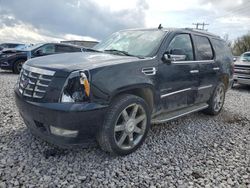 Cadillac Vehiculos salvage en venta: 2010 Cadillac Escalade Luxury