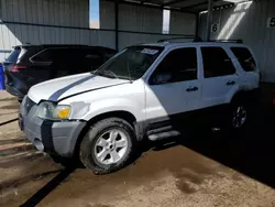 2006 Ford Escape XLT en venta en Brighton, CO