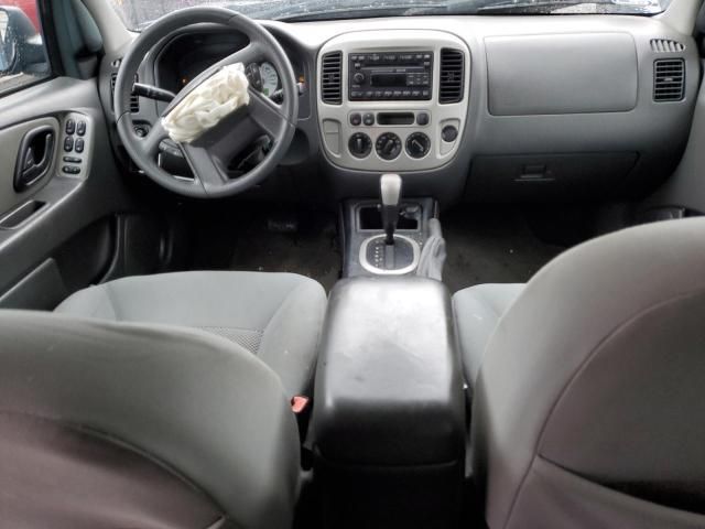 2007 Ford Escape XLT