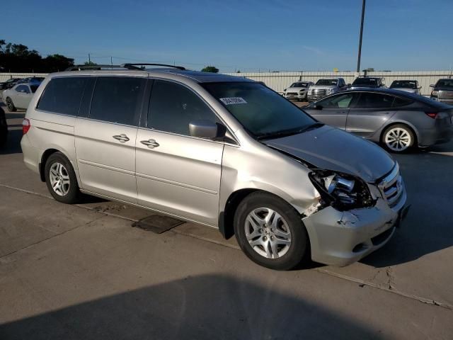 2005 Honda Odyssey EXL