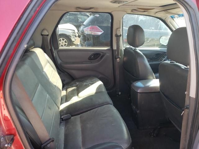 2004 Ford Escape XLT