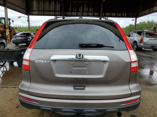 2010 Honda CR-V EXL