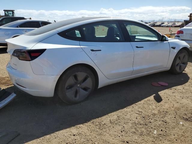 2020 Tesla Model 3