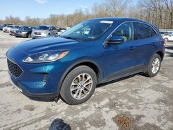 Salvage cars for sale from Copart Ellwood City, PA: 2020 Ford Escape SE