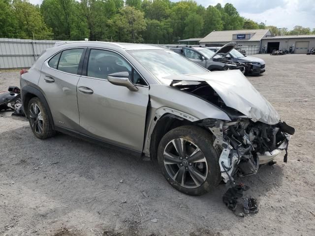 2020 Lexus UX 250H