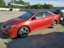 Salvage cars for sale from Copart Spartanburg, SC: 2013 Toyota Camry SE