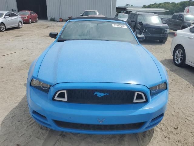 2013 Ford Mustang