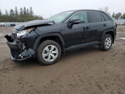 Salvage cars for sale at Bowmanville, ON auction: 2023 Toyota Rav4 LE