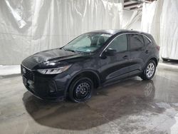 Rental Vehicles for sale at auction: 2023 Ford Escape Active