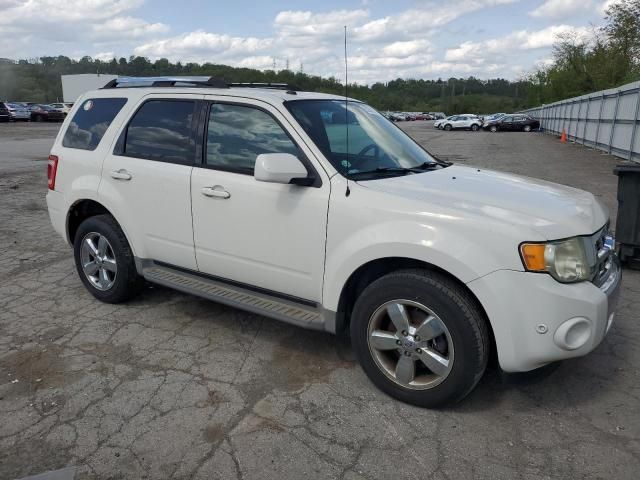 2010 Ford Escape Limited