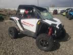 2024 Polaris RZR XP 1000 Sport