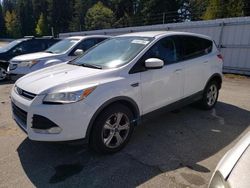 Salvage cars for sale from Copart Arlington, WA: 2014 Ford Escape SE