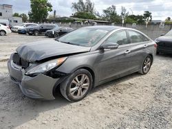 Vehiculos salvage en venta de Copart Opa Locka, FL: 2013 Hyundai Sonata SE