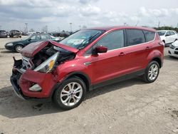 Salvage cars for sale at Indianapolis, IN auction: 2017 Ford Escape SE