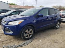 Salvage cars for sale from Copart Columbus, OH: 2016 Ford Escape SE