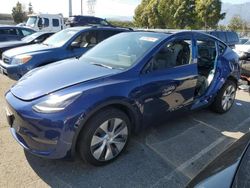 Salvage cars for sale from Copart Rancho Cucamonga, CA: 2023 Tesla Model Y