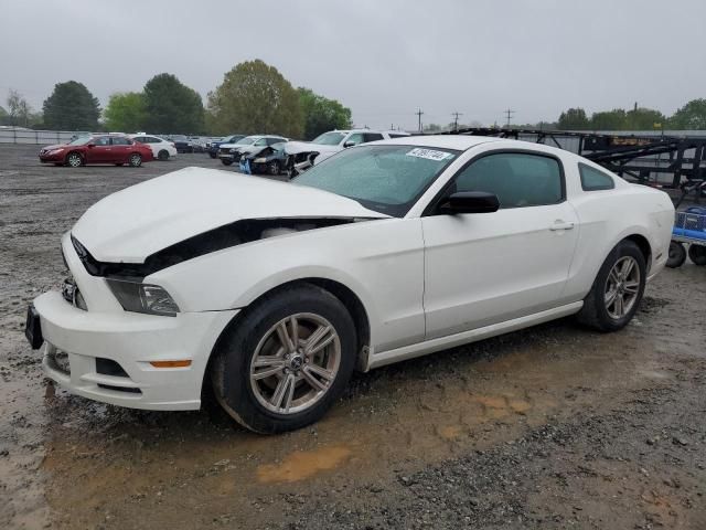 2013 Ford Mustang