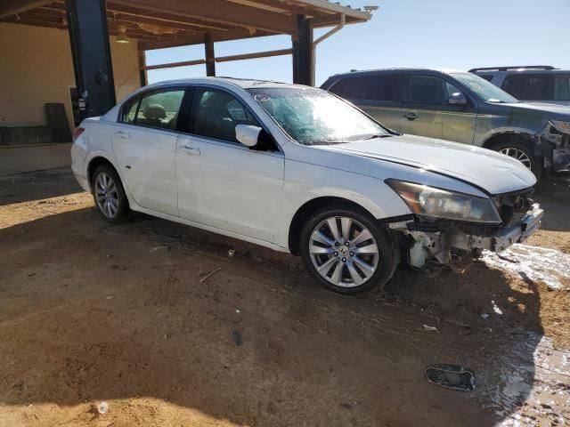 2011 Honda Accord EXL