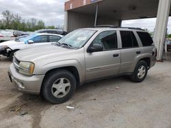 Salvage cars for sale at Fort Wayne, IN auction: 2002 Chevrolet Trailblazer