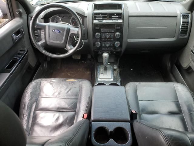 2010 Ford Escape Limited