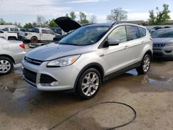 Salvage cars for sale from Copart Bridgeton, MO: 2014 Ford Escape SE