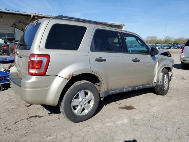 2010 Ford Escape XLT