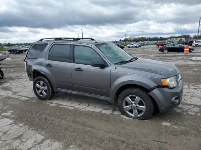 2009 Ford Escape XLT