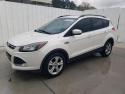 Ford Escape SE salvage cars for sale: 2013 Ford Escape SE