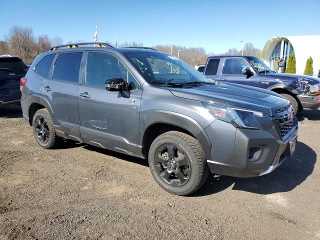 2023 Subaru Forester Wilderness