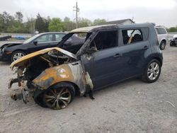Salvage cars for sale at York Haven, PA auction: 2016 KIA Soul +