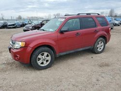 Salvage cars for sale at Central Square, NY auction: 2009 Ford Escape XLT