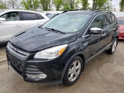 Salvage cars for sale from Copart Bridgeton, MO: 2013 Ford Escape SE