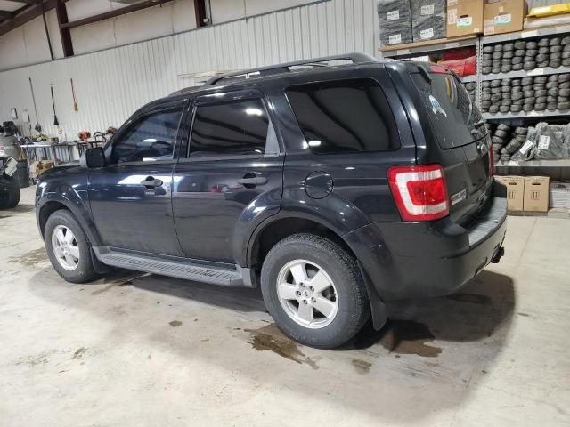 2011 Ford Escape XLT