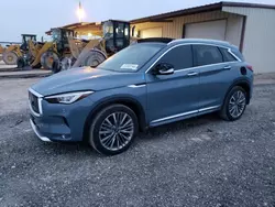 Salvage Cars with No Bids Yet For Sale at auction: 2023 Infiniti QX50 Sensory