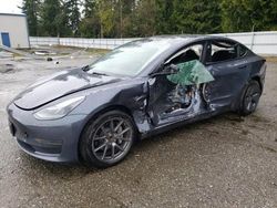 Salvage cars for sale from Copart Arlington, WA: 2023 Tesla Model 3