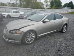 Salvage cars for sale at Gastonia, NC auction: 2012 Jaguar XF