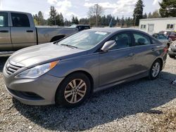 2014 Hyundai Sonata GLS for sale in Graham, WA