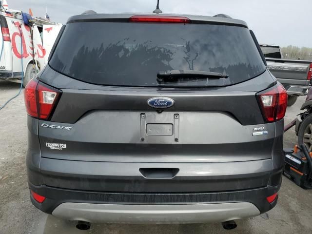 2019 Ford Escape SEL