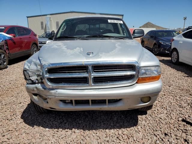 2001 Dodge Dakota Quattro